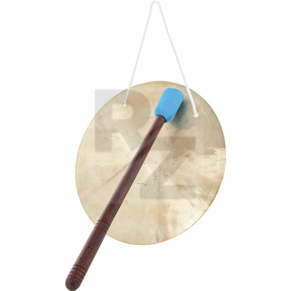 Image Asian Sound Tamtam TT-20 P