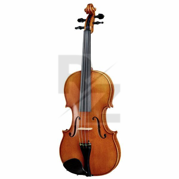 Image Karl Höfner Guadagnini 4/4 Violin Outfit