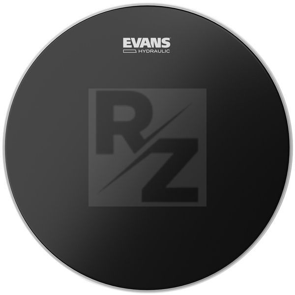 Image Evans 13