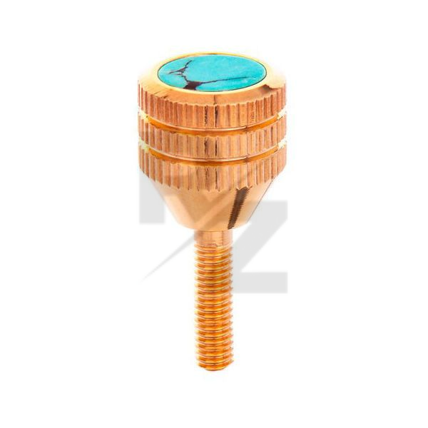 Image KGUMusic Neck Screw Yamaha 24K