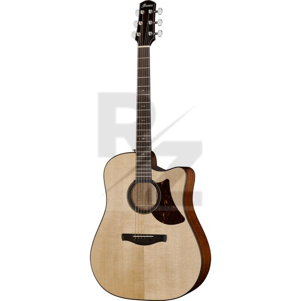 Image Ibanez AAD400CE-LGS