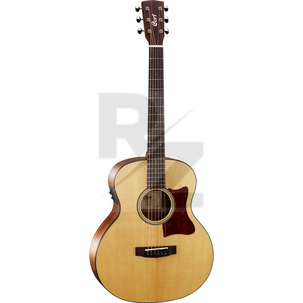 Image Cort Little CJ Walnut Open Pore