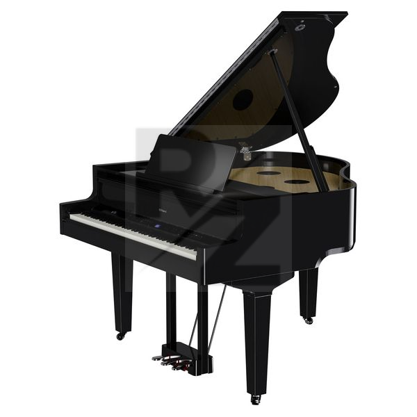 Roland GP-9 PE Image Roland GP-9 PE