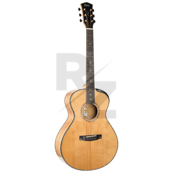 Image Cort Gold Passion