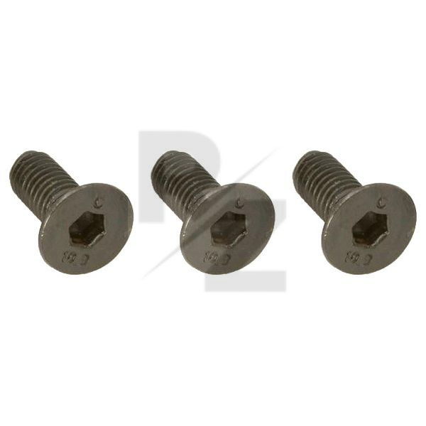 Image Floyd Rose FRTBMSP Mounting Screws