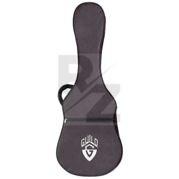 Image Guild Acoustic Polyfoam Case Orchest