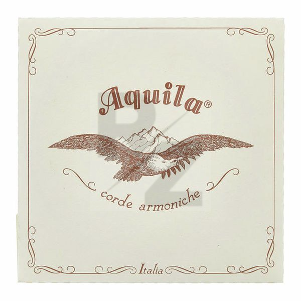 Image Aquila 200D Wound Nylgut Lute String