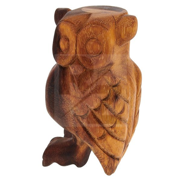 Image Thomann Owl Flute XL