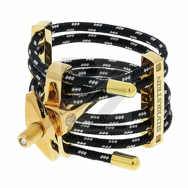 Image Silverstein ESTRO Tenor M #10