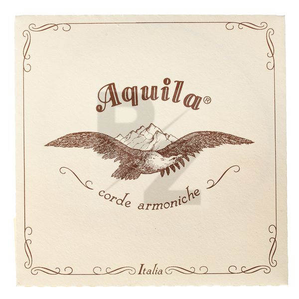 Image Aquila 120D Wound Nylgut Lute String