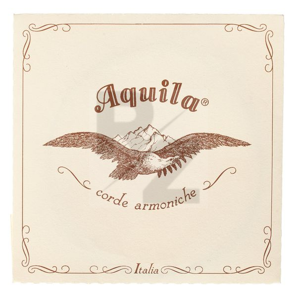 Image Aquila 136D Wound Nylgut Lute String