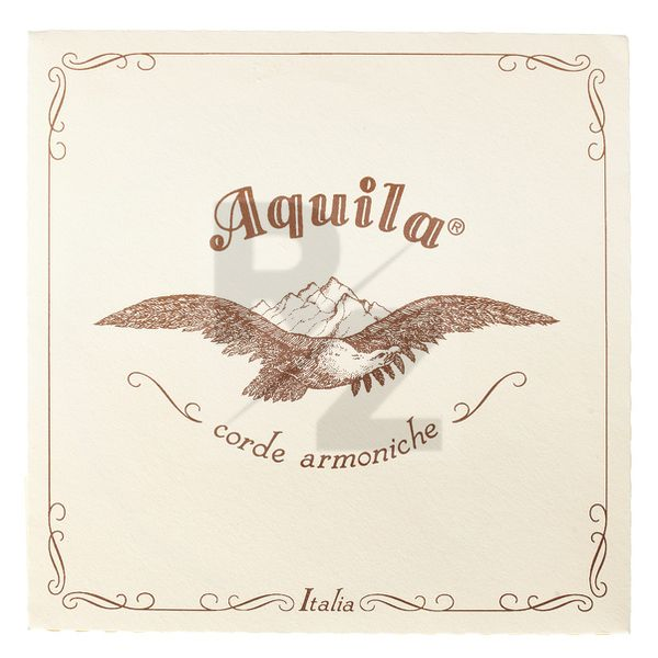 Image Aquila 140D Wound Nylgut Lute String