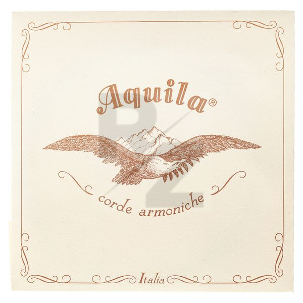 Image Aquila 190D Wound Nylgut Lute String