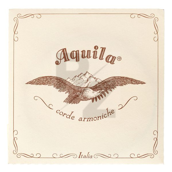 Image Aquila 210D Wound Nylgut Lute String