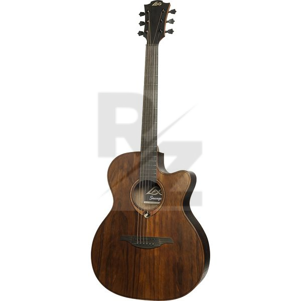 Image LAG Sauvage Auditorium CE