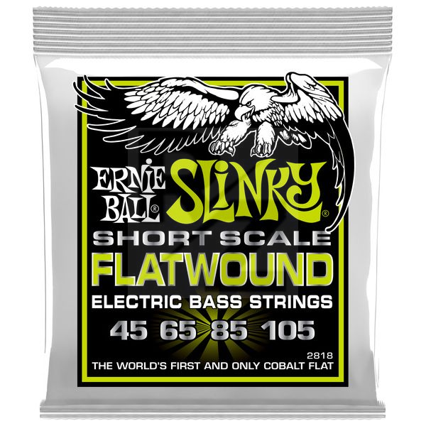 Image Ernie Ball Flatwound 2818