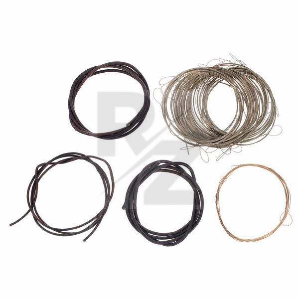 Image Thomann Nataraj Sarangi Strings Set