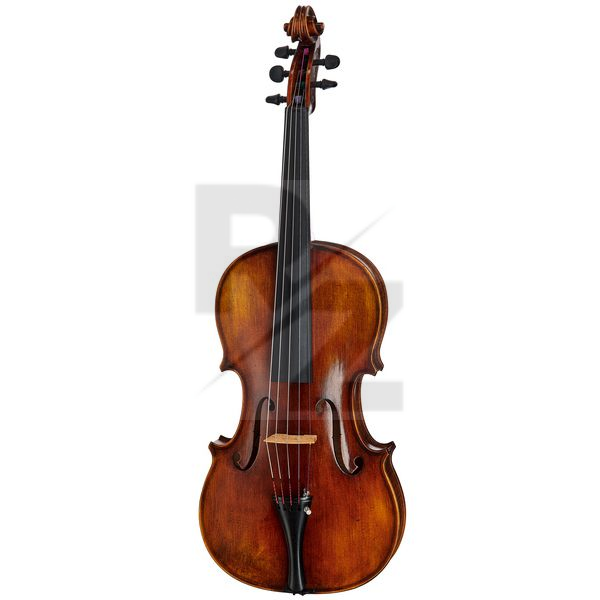 Image Walter Mahr Viola Quinton 16
