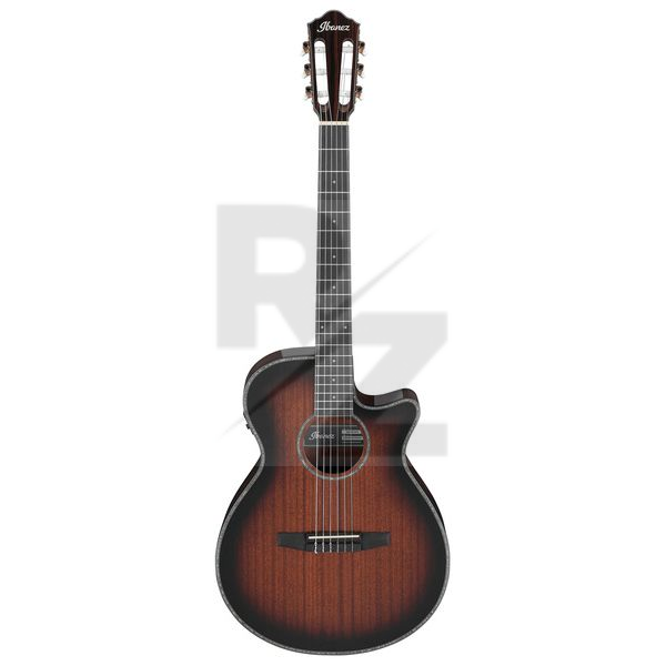 Image Ibanez AEG74N-MHS