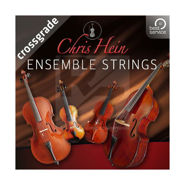 Image Best Service Chris Hein Ensemble Strings CG
