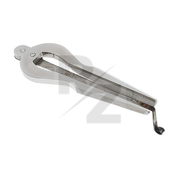 Image Terre Jew's Harp Wave D2