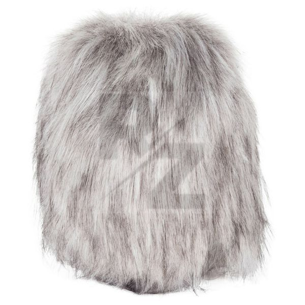 Image Zylia Windshield for ZM-1