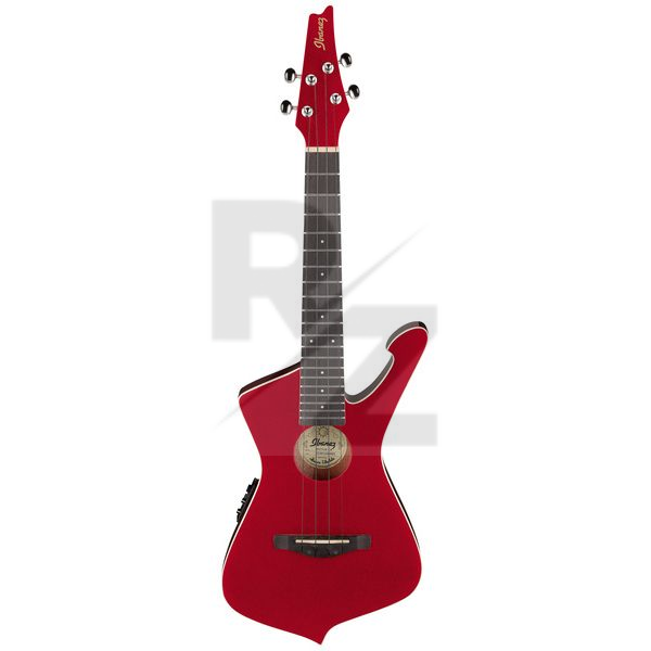 Image Ibanez UICT10-CA
