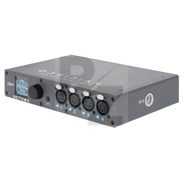 Image Obsidian Netron EN4