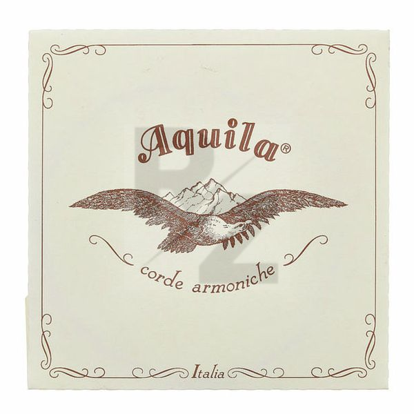 Image Aquila 175D Wound Nylgut Lute String