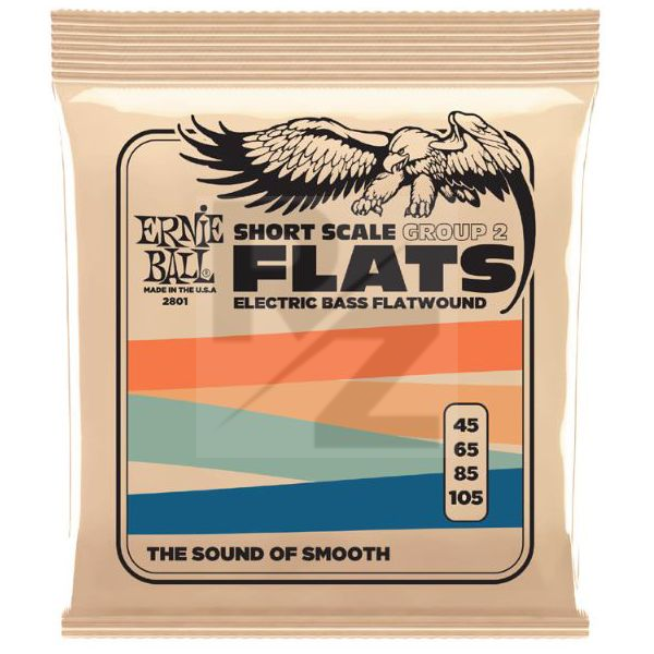 Image Ernie Ball Bass Flats 2801