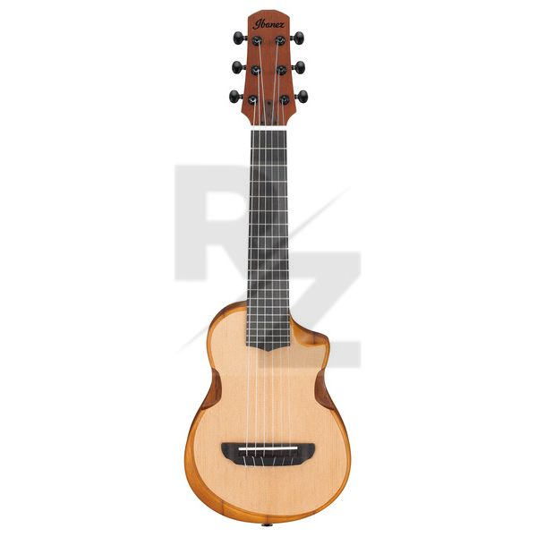 Image Ibanez AUP10N-OPN