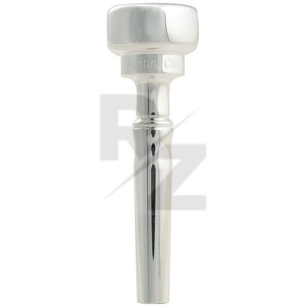 Image Austin Custom Brass Trumpet Standard MV 3L