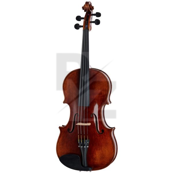 Bernd Hiller & Sohn Antonio Stradivari Viola Image Bernd Hiller & Sohn Antonio Stradivari Viola