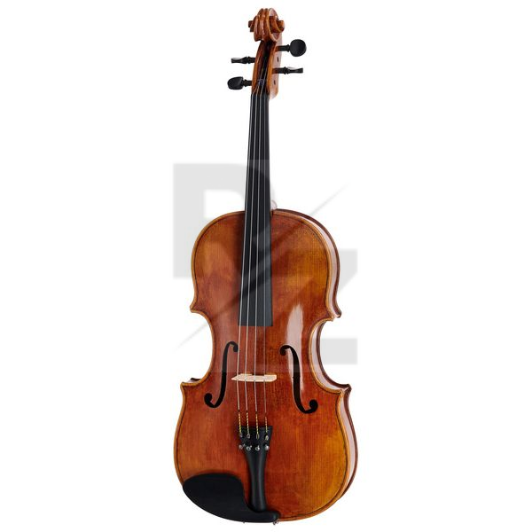 Image Bernd Hiller & Sohn Paolo Testore Viola