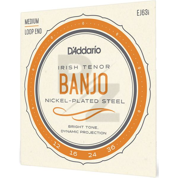 Image Daddario EJ63i Irish Tenor Banjo Set