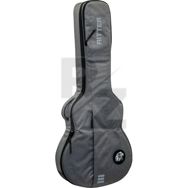 Image Ritter Carouge 335 Guitar EGR
