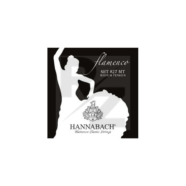 Image Hannabach 827MT single String D4w