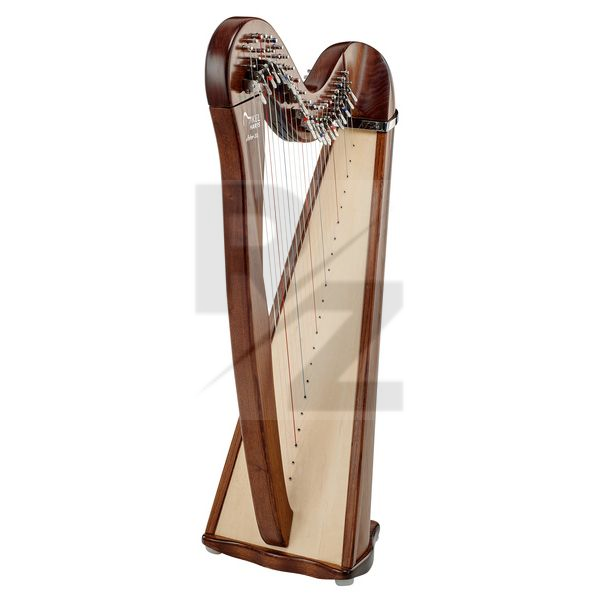 Image Roth & Junius Celtic Harp 22 Strings WN