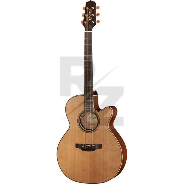 Takamine P3NC Pro Series w/Softcase Image Takamine P3NC Pro Series w/Softcase
