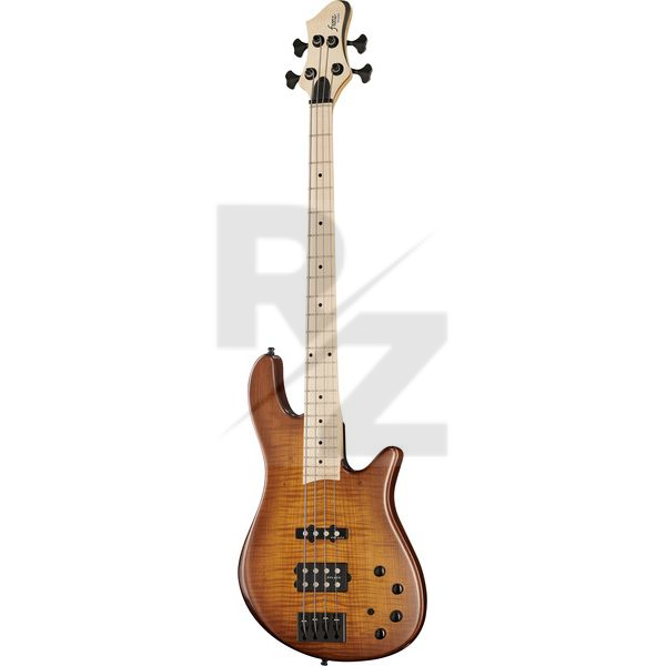 Image Franz Bassguitars Merak 4 SN Flamed Ash LW