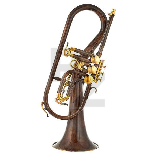 Image Schagerl Killerqueen 