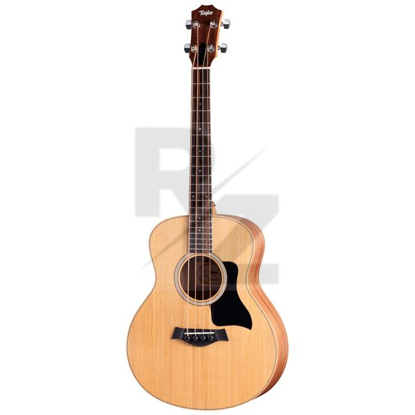 Image Taylor GS Mini-e Bass