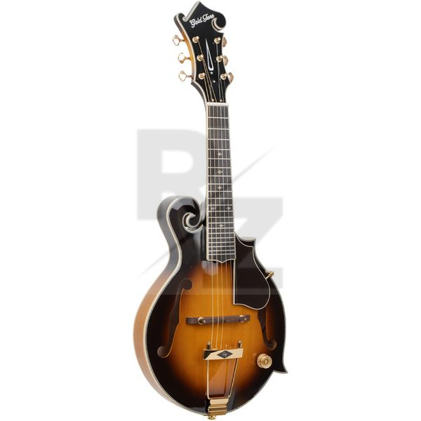 Image Gold Tone F6-Plus