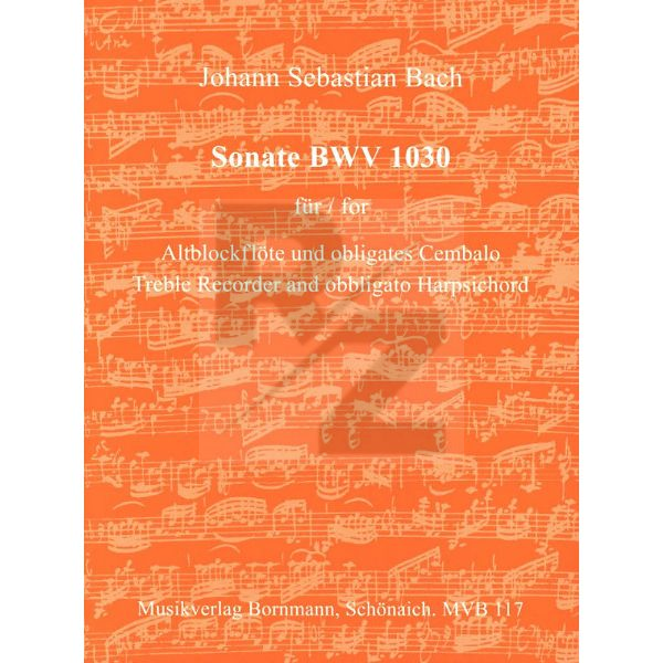 Image Johannes Bornmann Bach Sonate h-moll BWV 1030