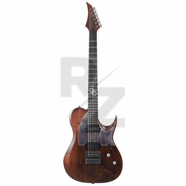 Image Solar Guitars T1.6D Aged Natural