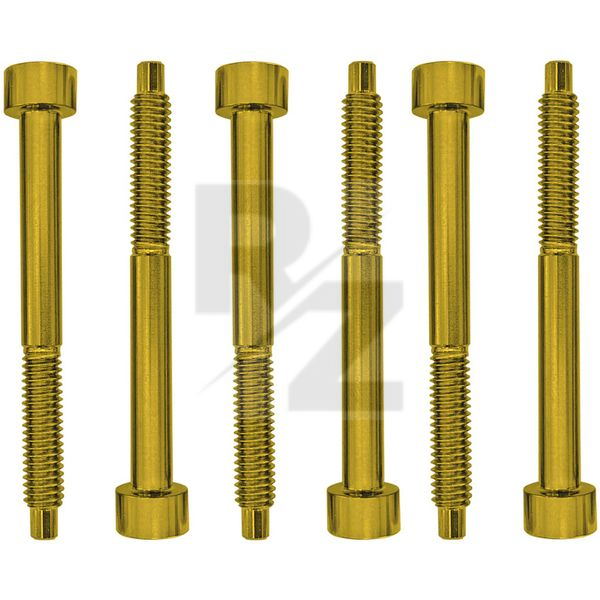 Image Floyd Rose FROSLSGDP String Lock Screws