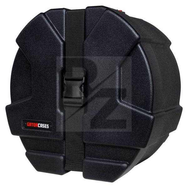 Image Gator Grooves 12