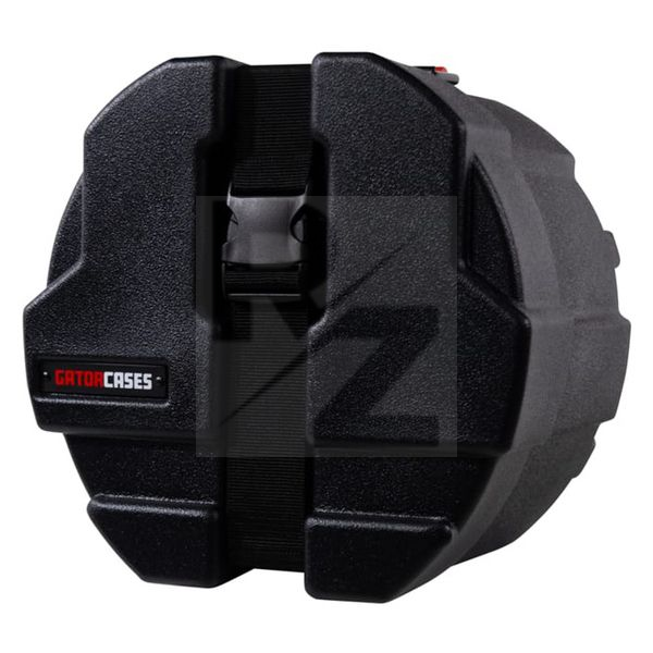 Image Gator Grooves 08