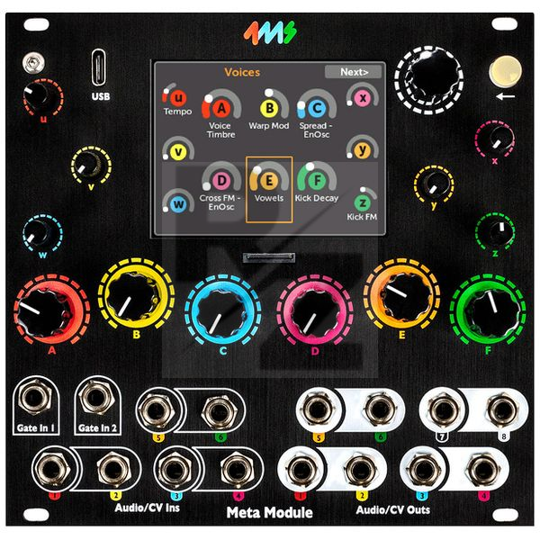 Image 4ms Meta Module