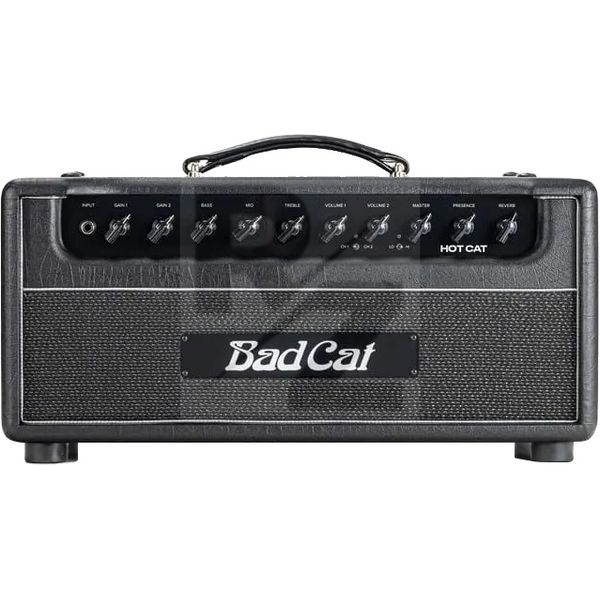 Image Bad Cat Hot Cat Head
